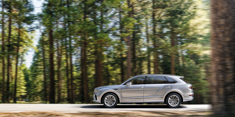 Bentley Padova Bentley Bentayga Extended Wheelbase SUV in Moonbeam paint driving dynamically on a forest road